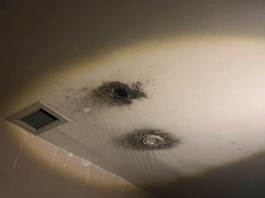 Attic photograph: water staining around a roof vent