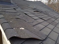 Roof photograph: cracked and lifting asphalt shingles