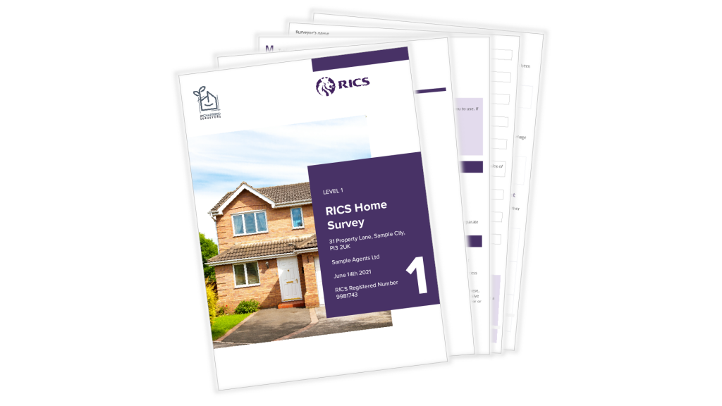 RICS Home Surveys - Why You Need One