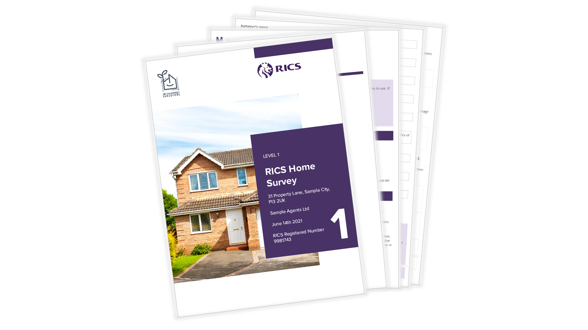 RICS Home Survey Sample Reports