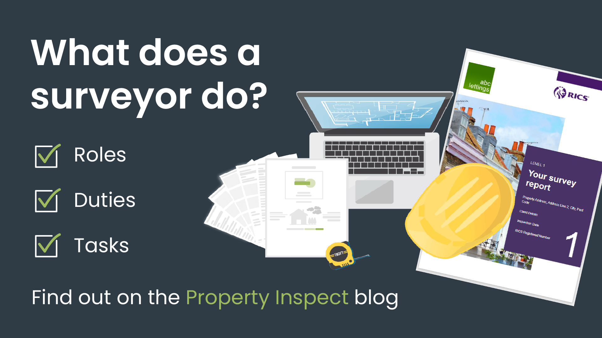 What does a surveyor do?