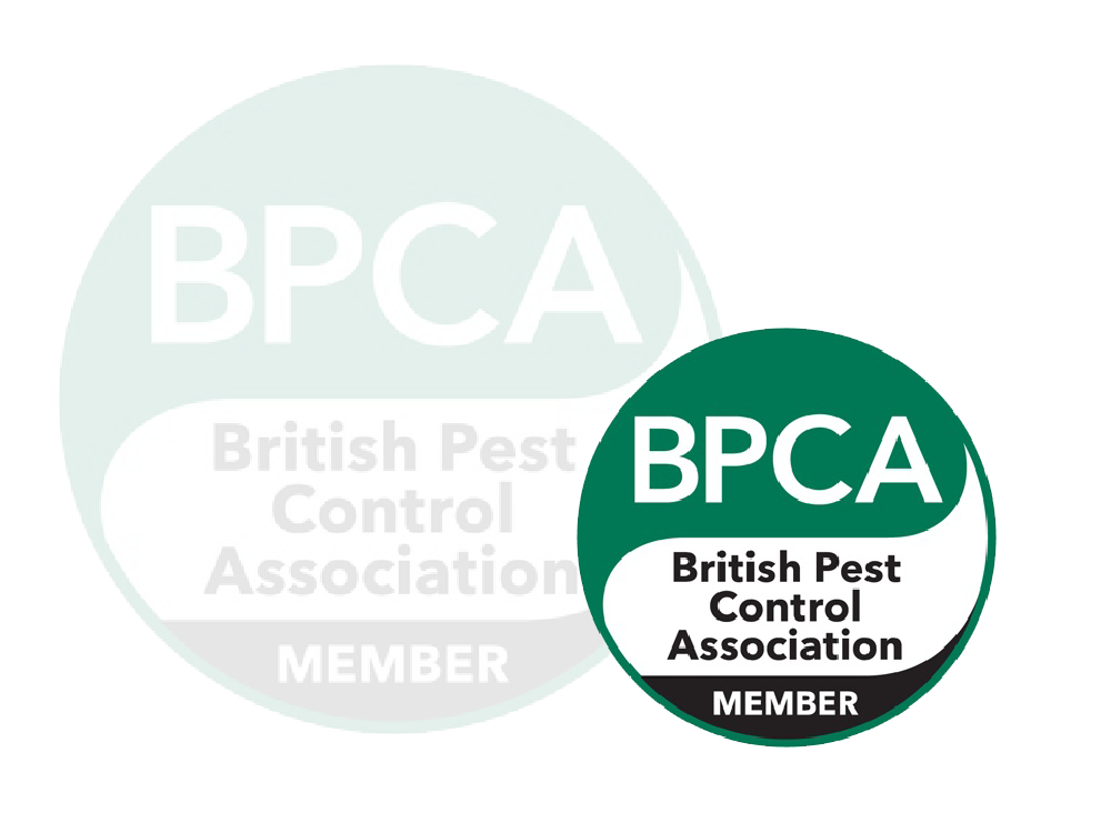 BPCA Certified!