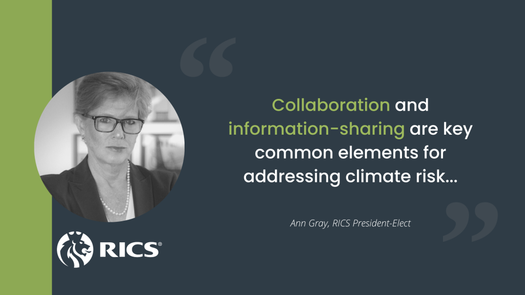RICS Sustainability Quote - Ann Gray